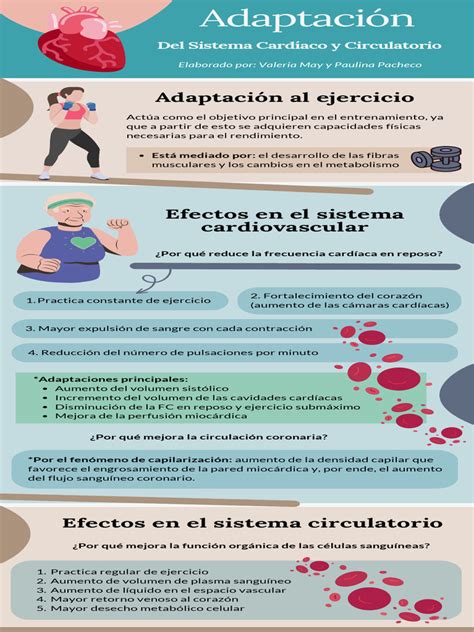 Infografía comparativa: Adaptación autónoma vs. Adaptación planificada en la gestión de riesgos