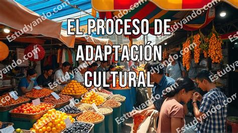 Infografía que ilustra el proceso de adaptación cultural desde la llegada al aeropuerto hasta la integración en la vida diaria local
