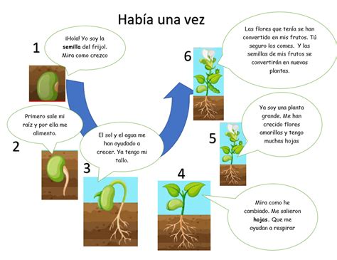 Esquema con los pasos principales para la postulación a un ELEAM del SENAMA
