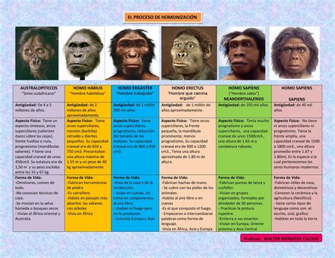 Gráfico comparativo de la evolución de afiliados en las principales AFP post-licitación
