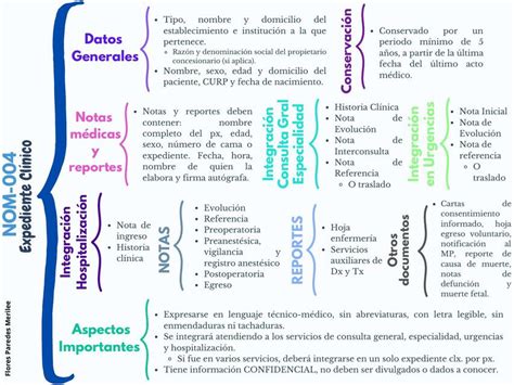 Esquema conceptual del expediente de accesibilidad: integración entre memoria técnica y planos detallados.