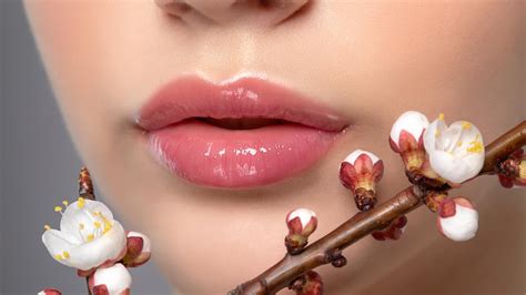 Labios hidratados con tono rosado