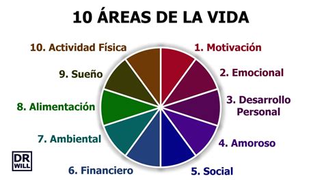 Esquema de las áreas de la vida del cuidador afectadas por la sobrecarga