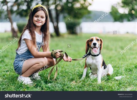 Foto de una persona cuidando un perro y un gato en un entorno hogareño.