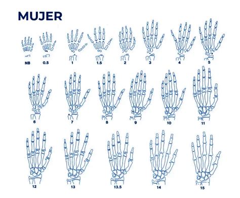 Radiografía de la mano para determinar la edad ósea en diferentes etapas de maduración