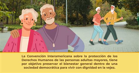 Gráfico informativo sobre derechos de las personas mayores y servicios disponibles