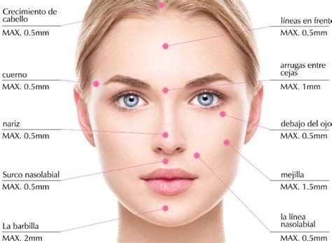 Mapa de las zonas del rostro con piel fina y gruesa