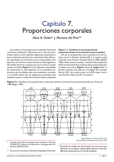 Guía de proporciones corporales para diferentes edades y géneros
