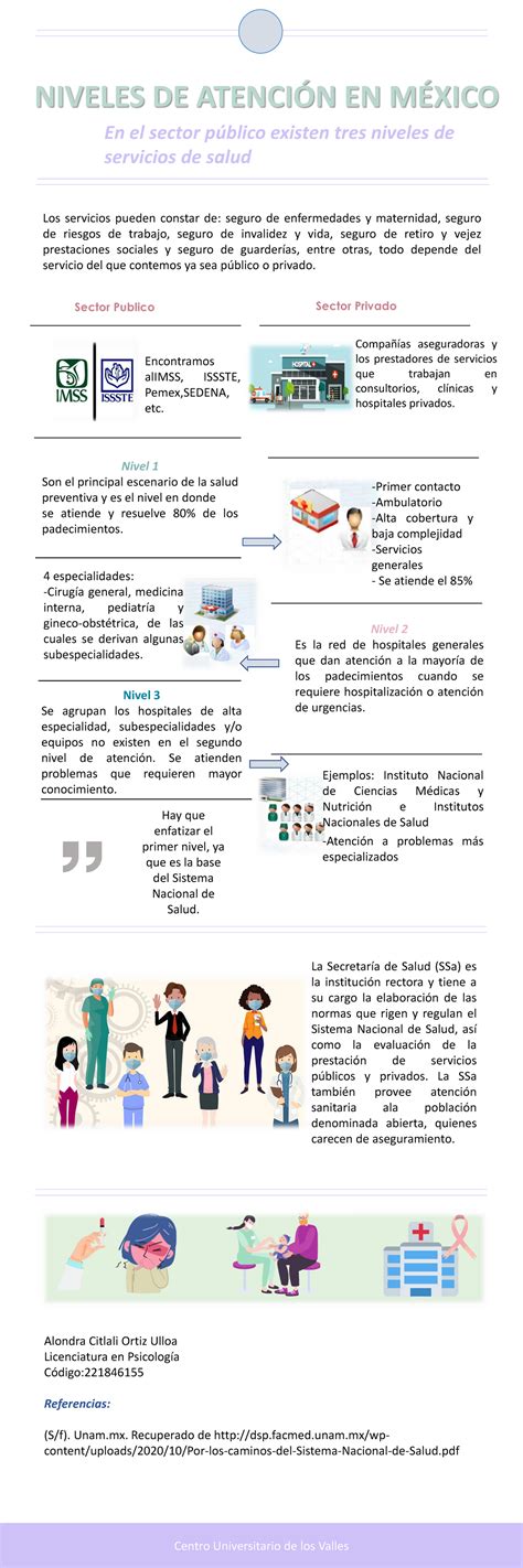 Infografía: Niveles de atención en un instituto de geriatría