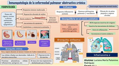 Esquema de la fisiopatología del síndrome del arnés, mostrando la acumulación de sangre en las extremidades inferiores y la reducción del flujo sanguíneo a los órganos vitales