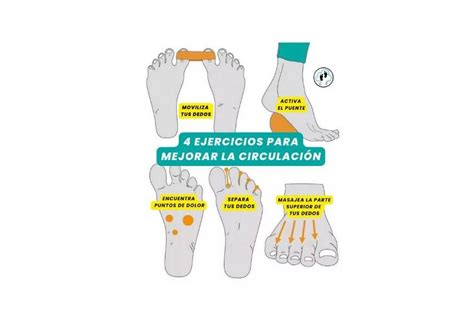 Infografía mostrando los beneficios fisiológicos de estar de pie frente a estar sentado