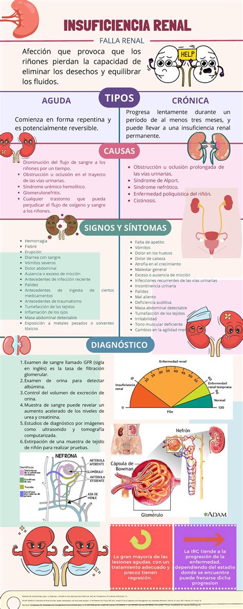 Infografía: Mecanismo de desarrollo de la FSN en pacientes con insuficiencia renal avanzada tras administración de contraste