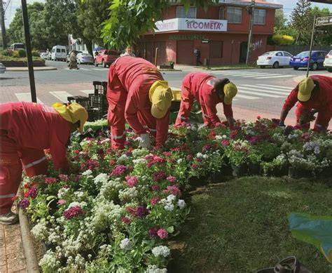 imagen de jardines y áreas comunes del Hogar de Ancianos La Gran Familia