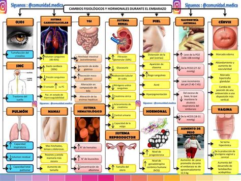 Esquema de los cambios fisiológicos en el sistema digestivo con la edad
