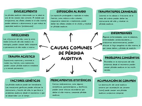 Esquema de las causas y efectos de la pérdida auditiva en el adulto mayor