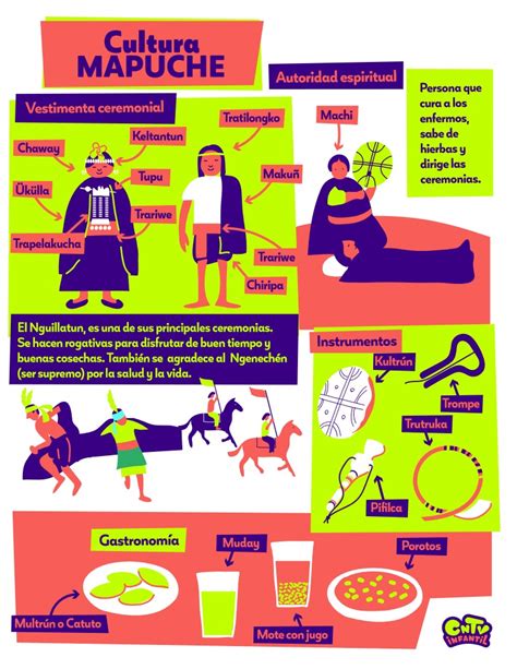 Infografía mostrando la evolución de la percepción social de la cultura mapuche en textos escolares
