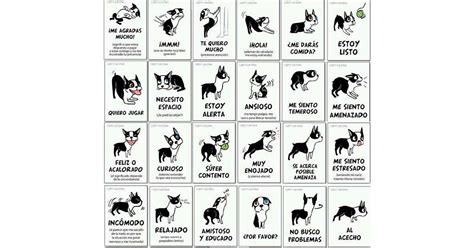 lenguaje corporal de perros agresivos