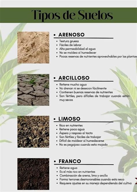 Esquema de diferentes tipos de suelos antideslizantes para baños