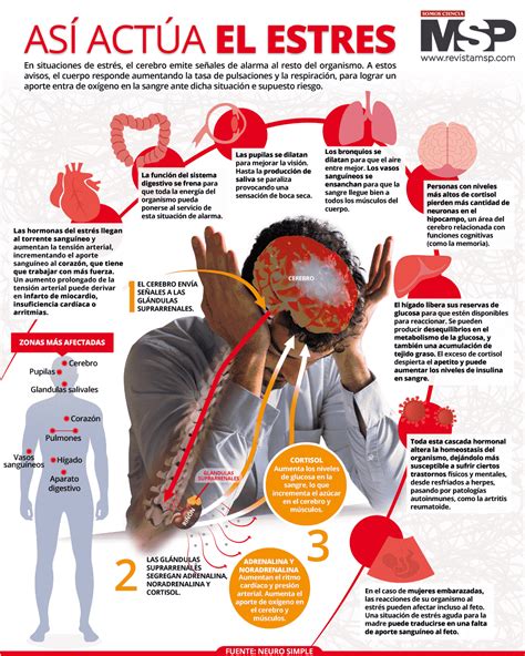 Infografía: Diagrama de los efectos del estrés crónico en la salud