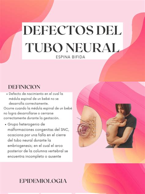 Infografía ilustrando diferentes causas de niveles altos de AFP en el embarazo (defectos del tubo neural, gemelos, defectos de pared abdominal).