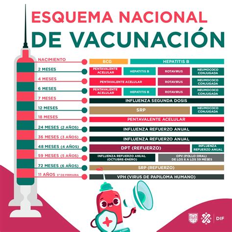 Infografía sobre calendario de vacunación para adultos mayores