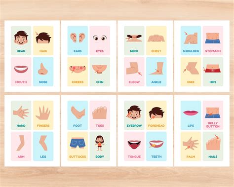 Tarjetas ilustradas de partes del cuerpo para niños