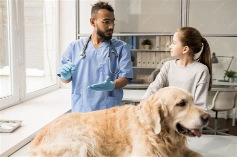 dueño de perro consultando al veterinario sobre alimentación