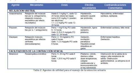 Diagrama de la acción del betanecol en la vejiga o el tracto digestivo