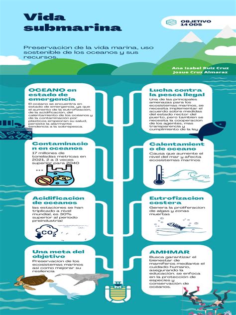 Esquema de un monte submarino mostrando diferentes zonas de vida marina y especies endémicas