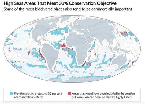 Mapa global mostrando las áreas de alta mar y las AMP existentes y propuestas