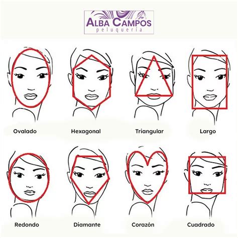 Esquema de tipos de rostro y cortes de pelo corto recomendados (redondo, alargado, cuadrado, ovalado)