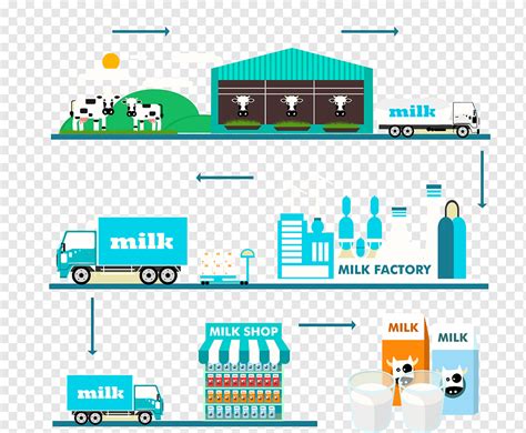 Infografía o esquema sobre la cadena de suministro de leche materna y la escasez en bancos de leche