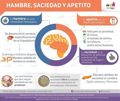 Infografía: Mediadores hormonales del apetito y la saciedad