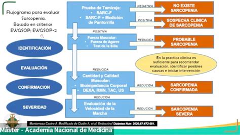 Infografía: Criterios diagnósticos de sarcopenia según los consensos actuales
