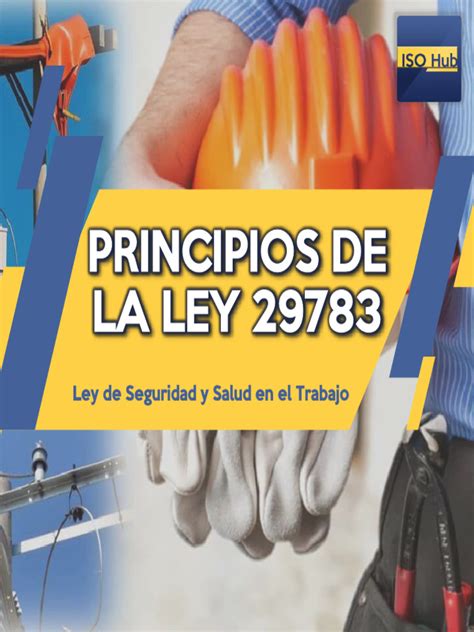 Esquema de los principios de la Ley N° 20.422 sobre Discapacidad