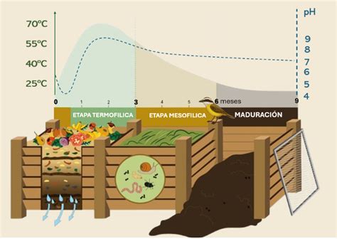 Esquema visual del proceso de compostaje y sus componentes principales