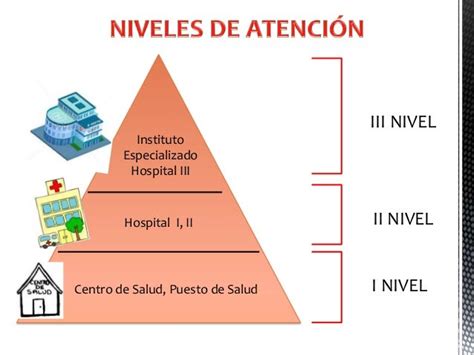 Esquema mostrando los niveles de atención médica y de custodia en una residencia de ancianos