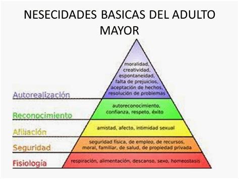 Infografía: 10 necesidades clave del adulto mayor