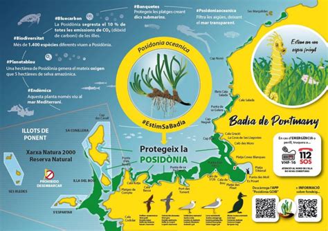 Mapa de distribución de Posidonia oceanica en el Mediterráneo