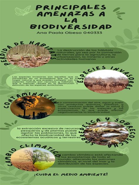 Infografía: principales factores de amenaza para plantas nativas