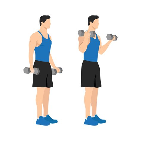 Foto de una persona mayor haciendo ejercicio de curl de bíceps con pesas ligeras
