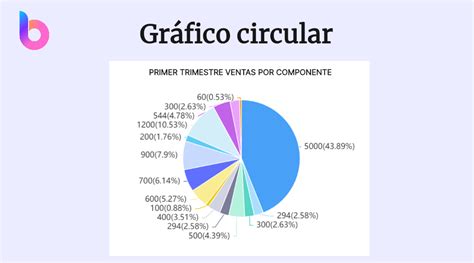 Gráfico circular mostrando las diferentes formas de violencia institucionalizada reportadas.