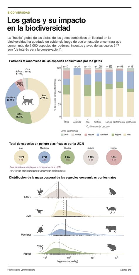 Infografía: Impacto de perros y gatos en la fauna nativa