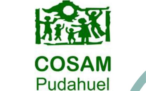 Infografía con la estructura del equipo interdisciplinario del COSAM Pudahuel y los programas de atención por área.