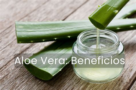 Infografía sobre los beneficios del Aloe Vera en el cuidado de la piel madura y prevención de arrugas.