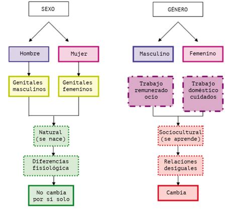 diagrama que ilustra la diferencia conceptual entre sexo y género