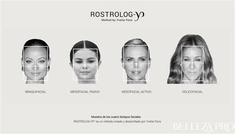Biotipos faciales y envejecimiento en un diagrama