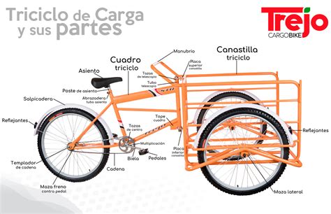 Esquema detallado que muestra las partes principales de un triciclo para adultos: cesta, sistema de pedaleo, motor eléctrico y asiento ergonómico.