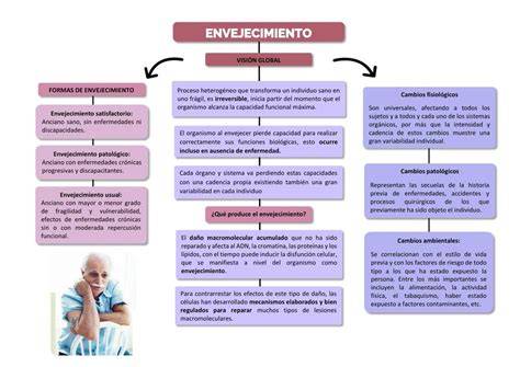 Mapa conceptual de envejecimiento activo y seguridad laboral