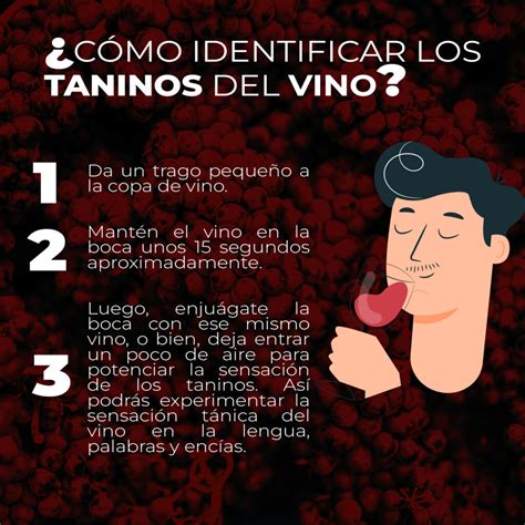 Esquema de las características del vino: acidez, dulzura, taninos y aromas